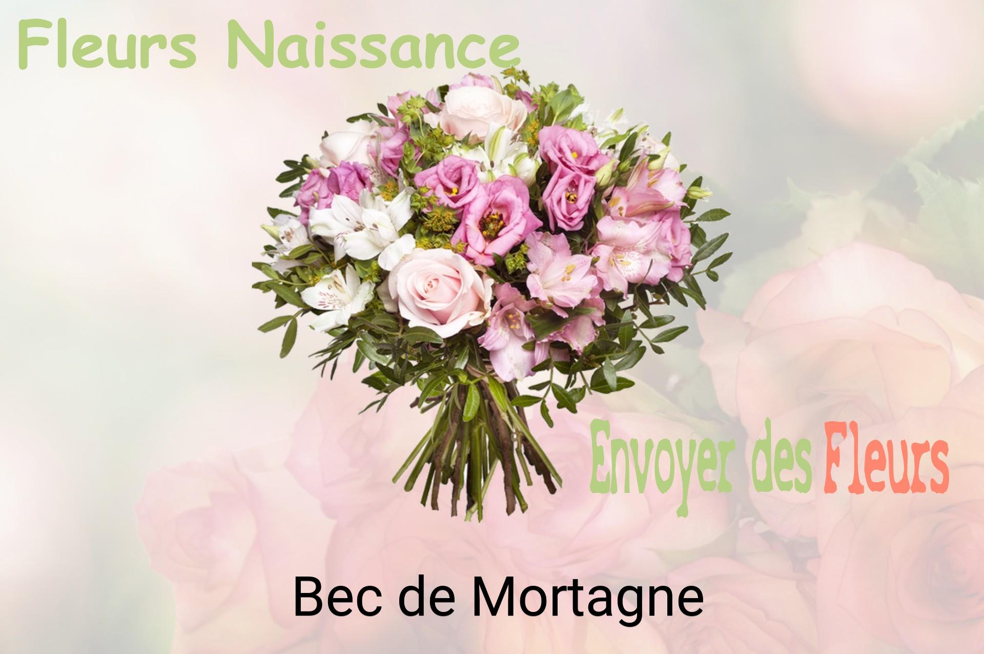 Bouquet de fleurs de naissance livré à Bec-de-Mortagne